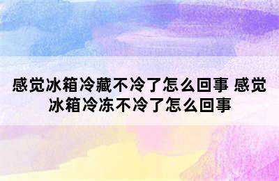 感觉冰箱冷藏不冷了怎么回事 感觉冰箱冷冻不冷了怎么回事